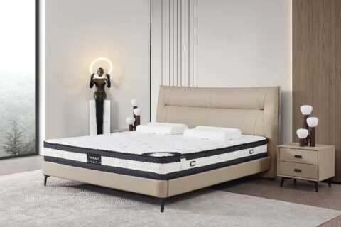Giường ngủ bọc da cao cấp hiện đại G-C362B